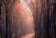 我的2018天涯论坛装修日记